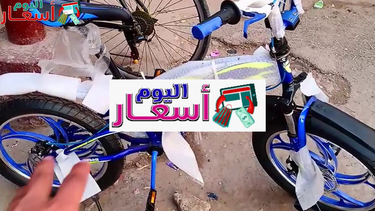 سعر عجل نيجر ب 900 جنيه 2026